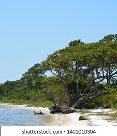 The Coast Of Gulf Breeze In Santa Rosa County Florida On The Gulf Of Mexico, USA