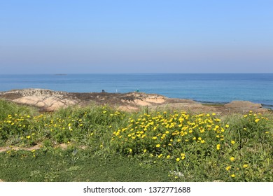 coast of the mediterranean sea