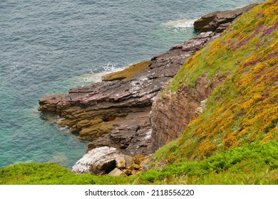 The Coast And The Moor Near Cap Fréhel