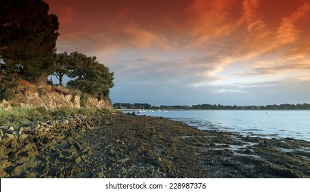  Coast Of Morbihan Gulf