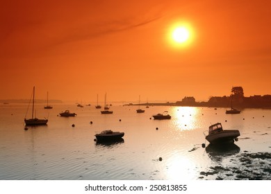 Coast Of Morbihan Gulf                               