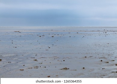 Coast Of The North Sea By Low Tide In Winter, Fanoe Island, Denmark