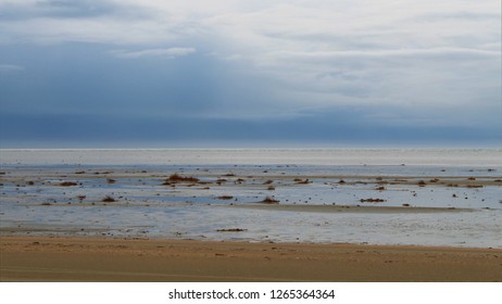 Coast Of The North Sea By Low Tide In Winter, Fanoe Island, Denmark