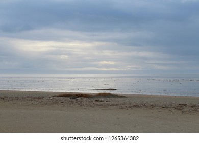 Coast Of The North Sea By Low Tide In Winter, Fanoe Island, Denmark