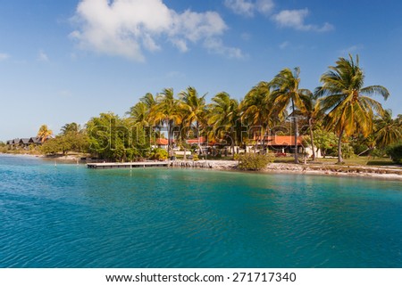 Coast of one of the islands of Cuba - sea, palms and bungalow.