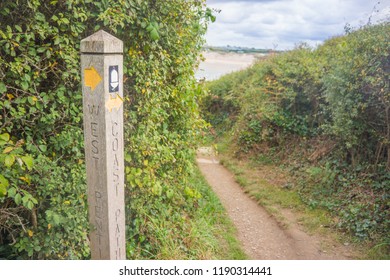 A coast path direction post with a yellow arrow, on a footpath surrounded by hedgerows with a beach in the background.