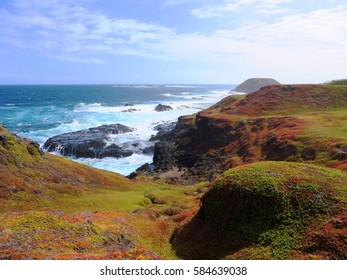 Coast Phillip Island Australia