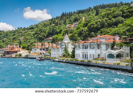 
Coast of the Princes' Islands. Turkey. Bosphorus. A bright sunny day, drowning in the greenery of the birch,  sea, small houses on the shore
