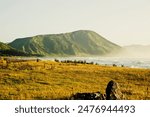 Coast scene bay foreshore and sea with hill.