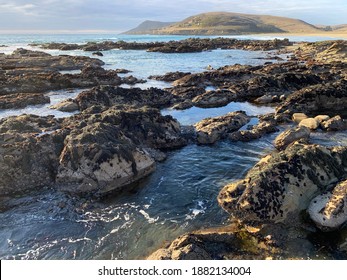 Coast and tide pools of Estero Bluffs State Park, near Cayucos and Morro Bay, Highway 1, central California, USA