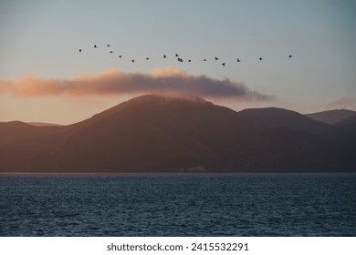 Coast view and flock of birds are flying over the mountains from Baker Beach at sunset in San Francisco, California. - Powered by Shutterstock