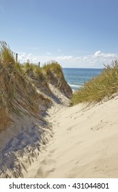 Coastal Beach Path Skagen Jutland Denmark