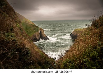 Coastal cliffs with vegetation frame a turbulent ocean scene under a dramatic cloudy sky, showcasing the raw beauty of nature - Powered by Shutterstock