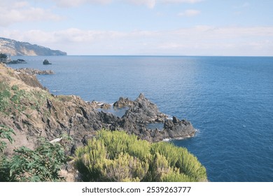 Coastal Cliffside with Palm Trees Overlooking the Ocean - Powered by Shutterstock