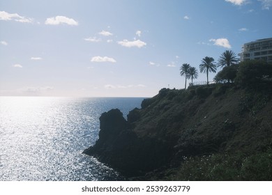 Coastal Cliffside with Palm Trees Overlooking the Ocean - Powered by Shutterstock