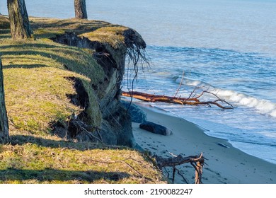 Coastal crumbling after a storm. Destruction on a seashore. The erosion of the sea shore. Erosion on the cliffs.