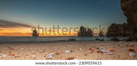 Coastal dreams - amazing beach with rocks and shells at sunrise. Do camilo beach algarve portugal