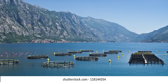 Coastal Fish Farming In Montenegro