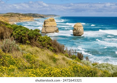 Coastal flora and two limestone pillars of the Twelve Apostles - Port Campbell, Victoria, Australia - Powered by Shutterstock