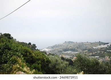 Coastal hills, lush greenery, serene ocean view perfect landscape  - Powered by Shutterstock