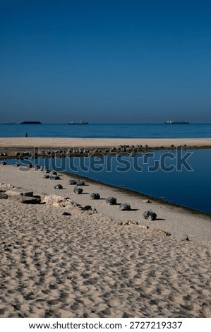 Coastal Lagoon with Floating Algae