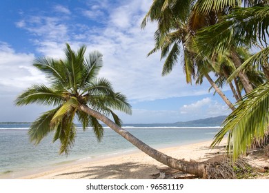 Coastal Landscape Of The Antongil Bay, East Of Madagascar