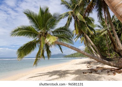 Coastal Landscape Of The Antongil Bay, East Of Madagascar