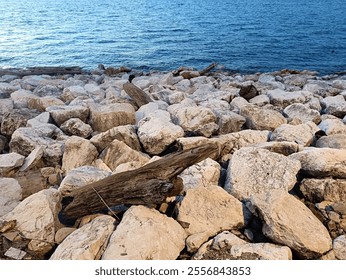 Coastal landscape featuring weathered driftwood on a rocky shore with blue ocean in the afternoon - Powered by Shutterstock