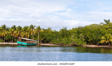 Coastal landscape with palm trees and abandoned ship laying at the coast of Samana bay. Dominican republic - Powered by Shutterstock