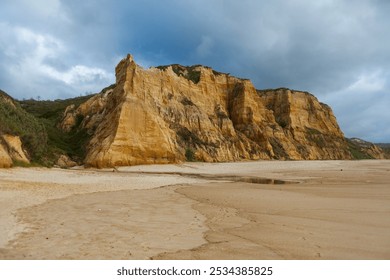 coastal landscape with a sandy beach stretching along the shoreline. The left side of the image showcases tall, golden cliffs with distinct layers of rock formations - Powered by Shutterstock