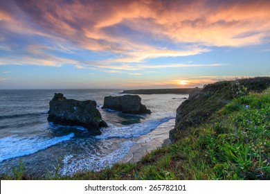 Coastal Living In Mendocino