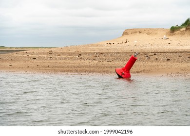 Coastal Marker Buoy At Low Tide