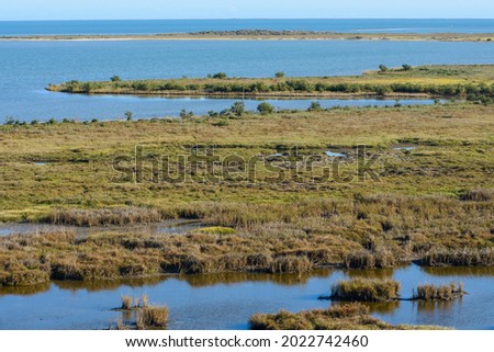 Coastal Marshland on the Texas Gulf Coast 