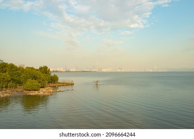 Coastal Natural Scenery Of Mangrove Bay