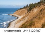 Coastal Overlook at Fort Ebey State Park in Washington State, USA