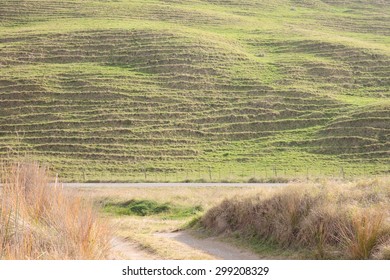 coastal pastoral farming hills rutted with stock trails, Gisborne, East Coast, North Island, New Zealand  - Powered by Shutterstock