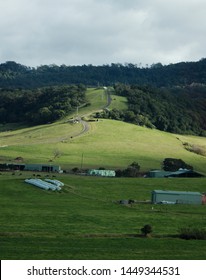 A Coastal Pasture With Cows And A Windy Rural Road