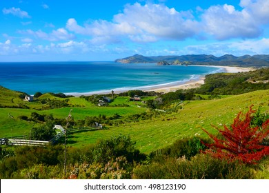 Coastal Path And Beach In Great Barrier Island, New Zealand