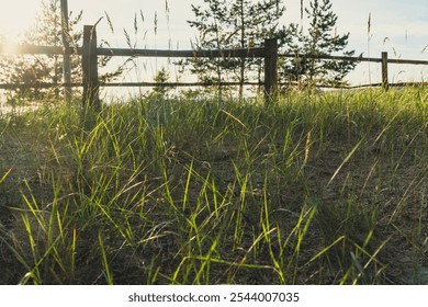 A coastal path bordered by a wooden fence runs alongside a grassy shoreline, offering a peaceful and scenic view of the ocean under a bright blue sky - Powered by Shutterstock