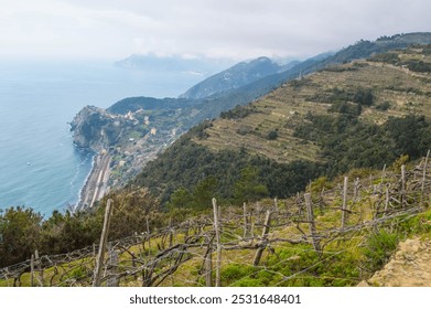 Coastal Path, Cinque Terre's Scenic Cliffside Walk. Sunlit Path Overlooking the Mediterranean Sea, Cinque Terre. Cliff View, February.  - Powered by Shutterstock