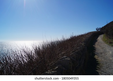 Coastal Path At Durlston Country Park