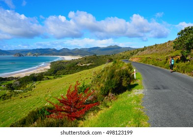 Coastal Path In Great Barrier Island, New Zealand