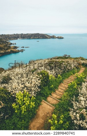 Coastal path in Guernsey, with a beautiful view down to the bay and the blue waters of the sea.