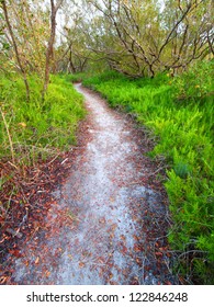 Coastal Prairie Trail In Everglades National Park Of Florida