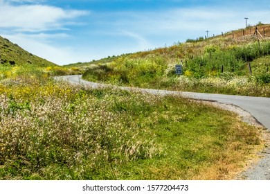 Coastal road with a blind curve and with lots of spring wildflowers on either side in Point Reyes National Seashore, northern California, USA