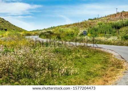 Coastal road with a blind curve and with lots of spring wildflowers on either side in Point Reyes National Seashore, northern California, USA