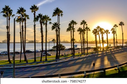 Coastal Road Sunset In Long Beach, California. 