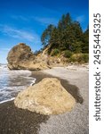 Coastal Rock Formations at Ruby Beach in Olympic National Park in Washington State, USA