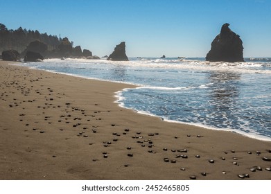 Coastal Rock Formations at Ruby Beach in Olympic National Park in Washington State, USA