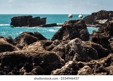 A coastal scene featuring two seagulls perched on large rocky formations overlooking the turquoise ocean, with rugged cliffs in the distance, creating a serene and natural seascape under a clear sky - Powered by Shutterstock